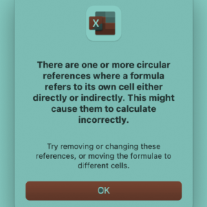 What is a circular reference in Excel // PerfectXL Academy