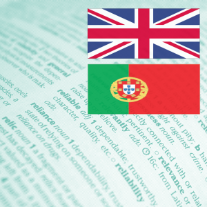 Excel Function Translations: English to Portuguese // PerfectXL Academy