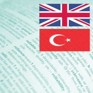 Excel Function Translations: English to Turkish // PerfectXL Academy