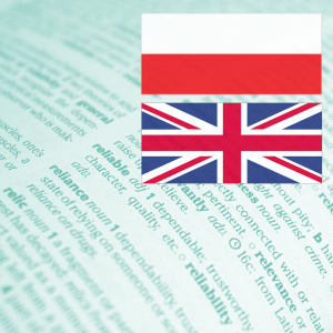Excel Function Translations: Polish to English // PerfectXL Academy